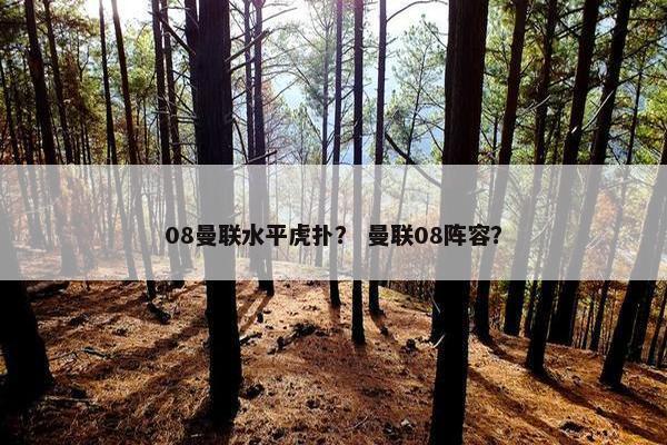 08曼联水平虎扑？ 曼联08阵容？