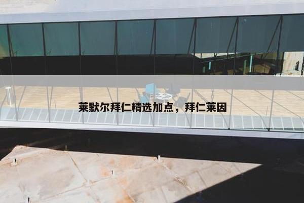 莱默尔拜仁精选加点，拜仁莱因