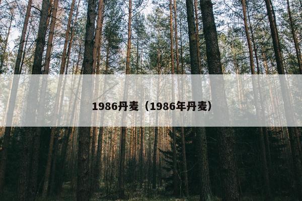 1986丹麦（1986年丹麦）