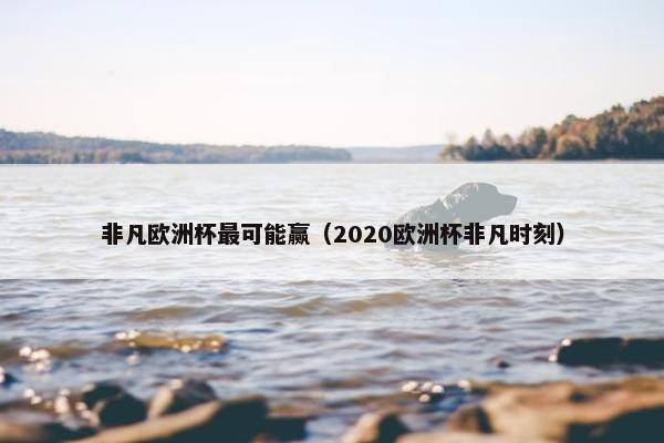 非凡欧洲杯最可能赢（2020欧洲杯非凡时刻）