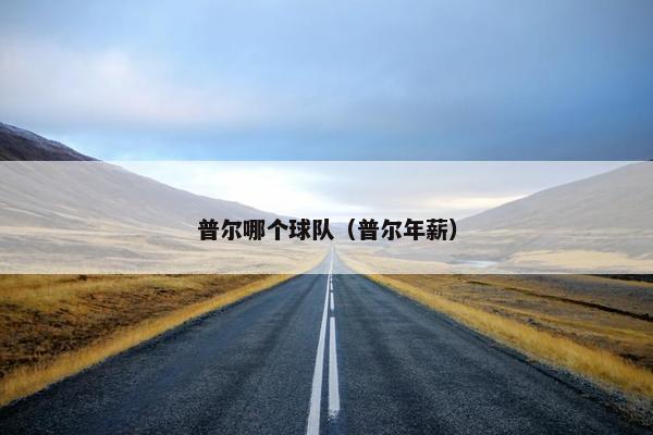 普尔哪个球队（普尔年薪）