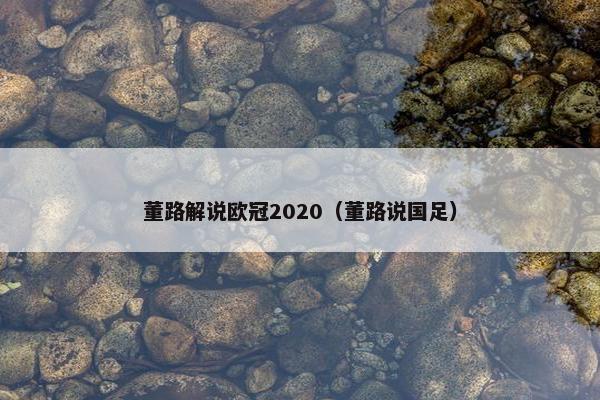 董路解说欧冠2020（董路说国足）