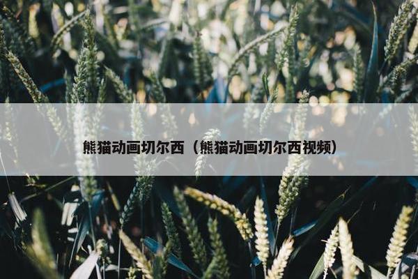 熊猫动画切尔西（熊猫动画切尔西视频）