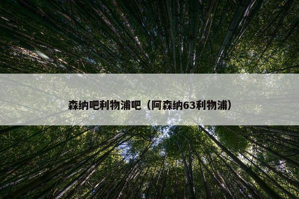 森纳吧利物浦吧（阿森纳63利物浦）