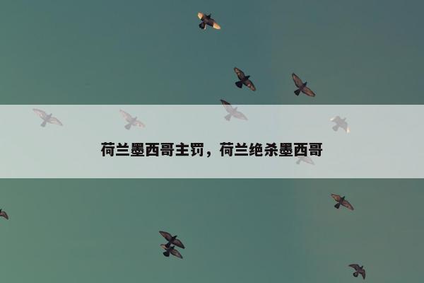 荷兰墨西哥主罚，荷兰绝杀墨西哥