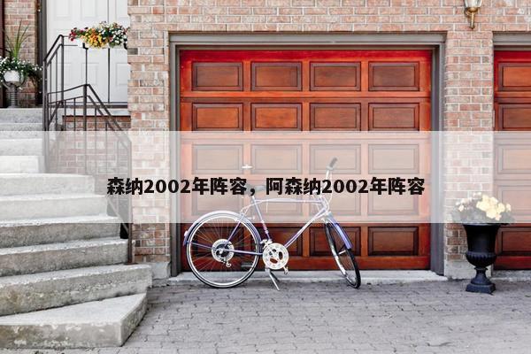 森纳2002年阵容，阿森纳2002年阵容