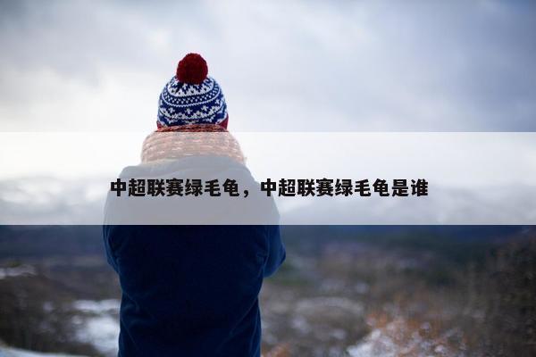 中超联赛绿毛龟，中超联赛绿毛龟是谁