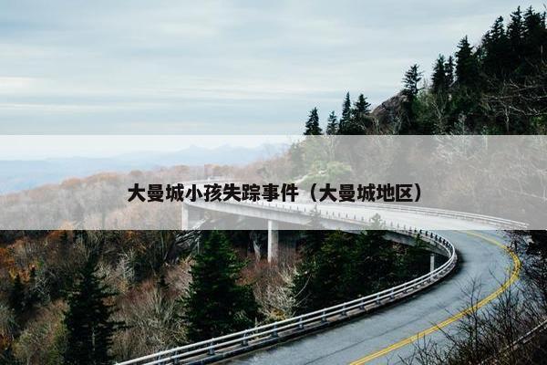 大曼城小孩失踪事件（大曼城地区）