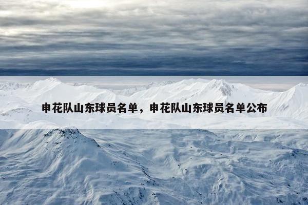 申花队山东球员名单，申花队山东球员名单公布