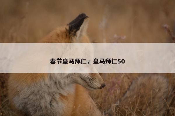 春节皇马拜仁，皇马拜仁50