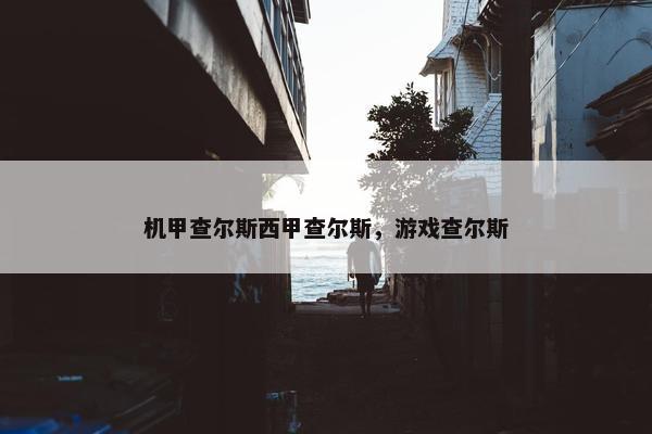 机甲查尔斯西甲查尔斯，游戏查尔斯