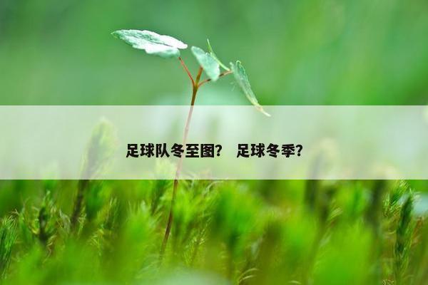 足球队冬至图？ 足球冬季？