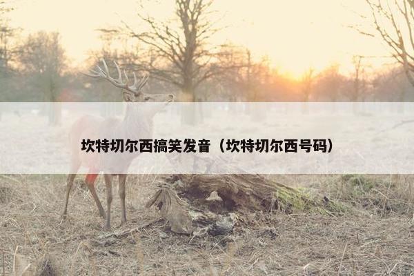 坎特切尔西搞笑发音（坎特切尔西号码）