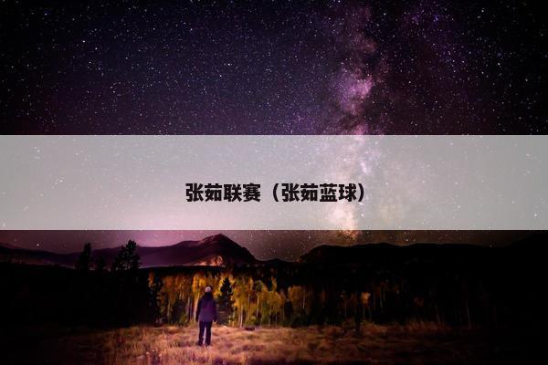 张茹联赛（张茹蓝球）