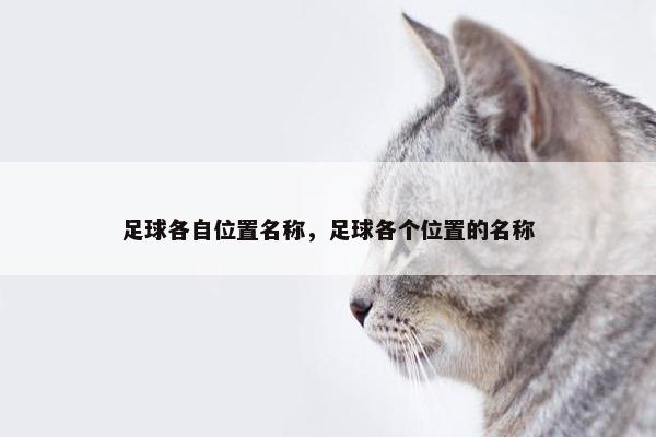 足球各自位置名称，足球各个位置的名称