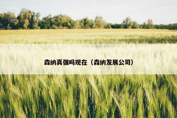 森纳真强吗现在（森纳发展公司）
