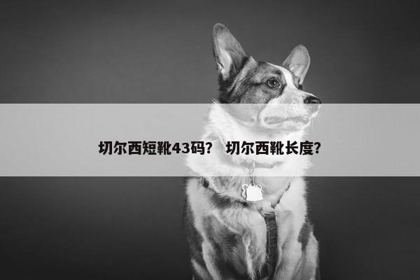 切尔西短靴43码？ 切尔西靴长度？