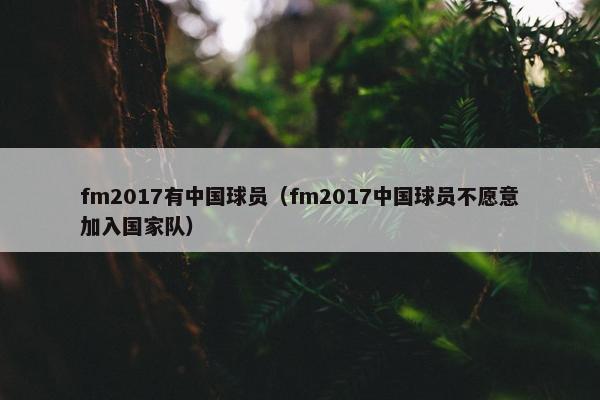 fm2017有中国球员（fm2017中国球员不愿意加入国家队）