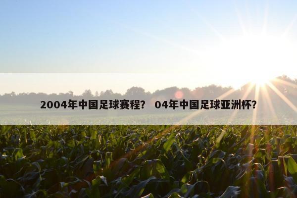 2004年中国足球赛程？ 04年中国足球亚洲杯？
