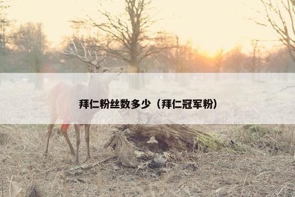 拜仁粉丝数多少（拜仁冠军粉）
