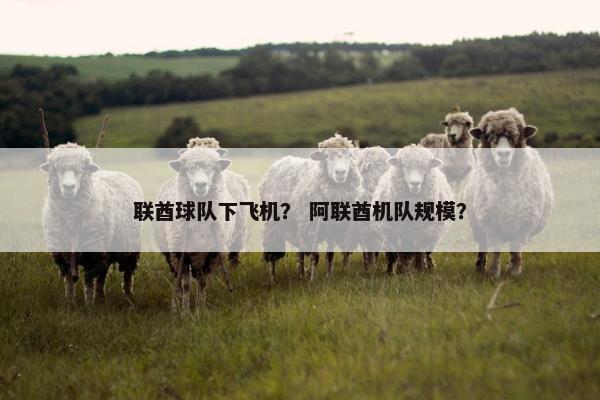 联酋球队下飞机？ 阿联酋机队规模？