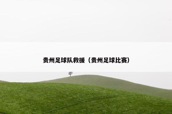 贵州足球队救援（贵州足球比赛）