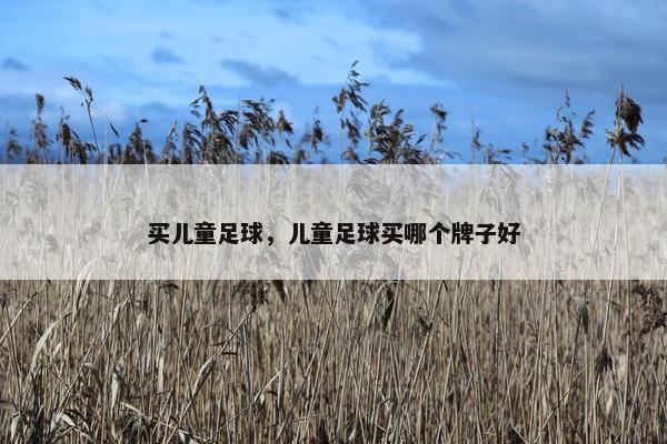 买儿童足球，儿童足球买哪个牌子好