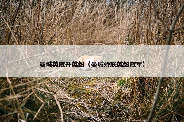曼城英冠升英超（曼城蝉联英超冠军）