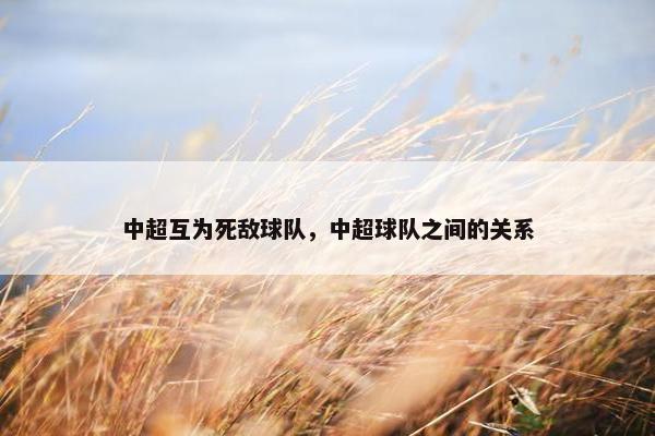 中超互为死敌球队，中超球队之间的关系