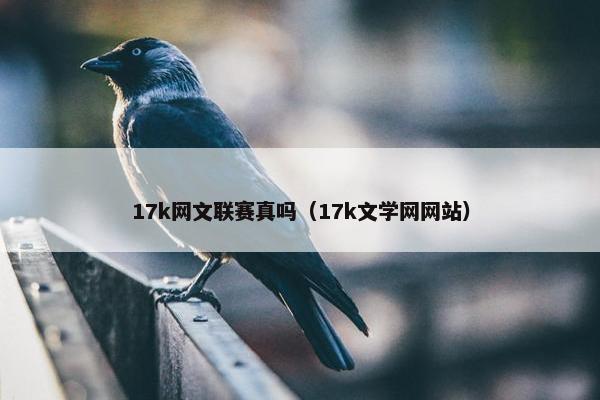 17k网文联赛真吗（17k文学网网站）
