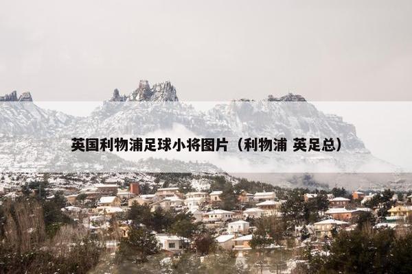 英国利物浦足球小将图片（利物浦 英足总）
