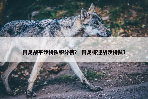 国足战平沙特队积分榜？ 国足将迎战沙特队？