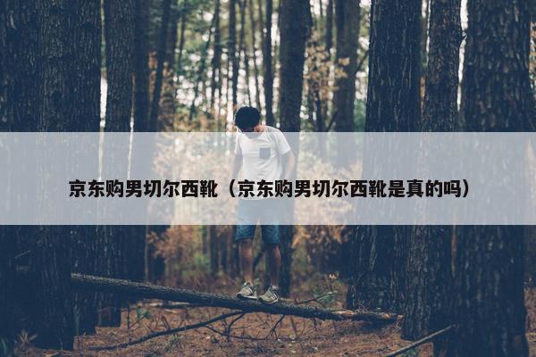 京东购男切尔西靴（京东购男切尔西靴是真的吗）