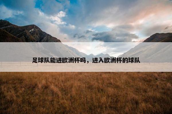 足球队能进欧洲杯吗，进入欧洲杯的球队