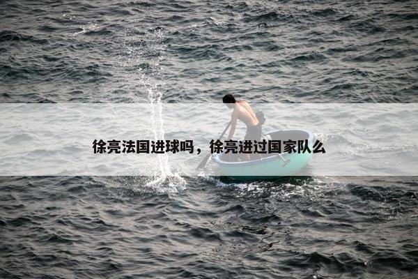 徐亮法国进球吗，徐亮进过国家队么