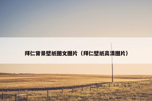 拜仁背景壁纸图文图片（拜仁壁纸高清图片）