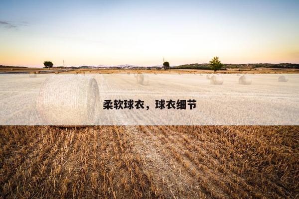 柔软球衣，球衣细节