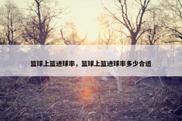 篮球上篮进球率，篮球上篮进球率多少合适