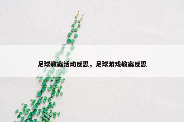 足球教案活动反思，足球游戏教案反思