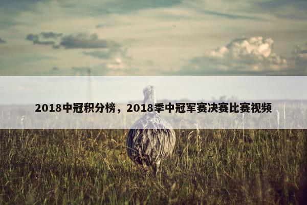 2018中冠积分榜，2018季中冠军赛决赛比赛视频