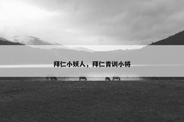 拜仁小妖人，拜仁青训小将