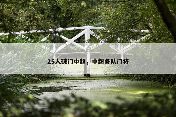 25人破门中超，中超各队门将