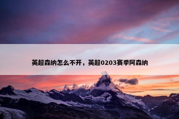 英超森纳怎么不开，英超0203赛季阿森纳