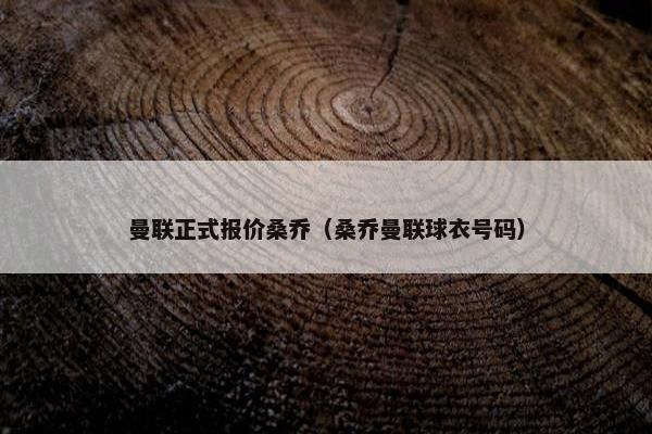 曼联正式报价桑乔（桑乔曼联球衣号码）