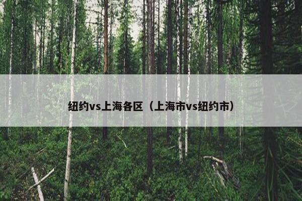 纽约vs上海各区（上海市vs纽约市）