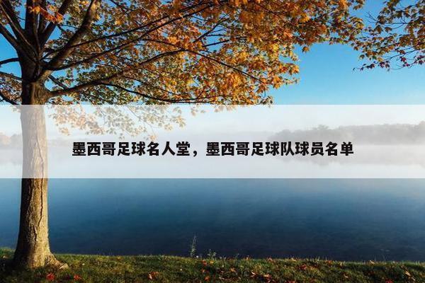 墨西哥足球名人堂，墨西哥足球队球员名单