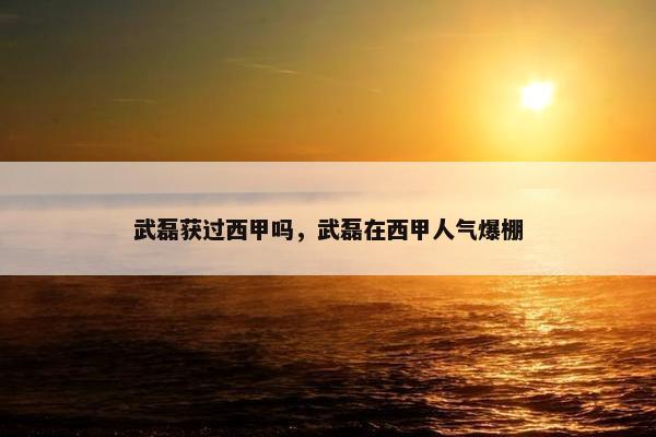 武磊获过西甲吗，武磊在西甲人气爆棚
