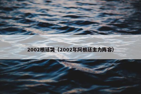 2002根廷哭（2002年阿根廷主力阵容）