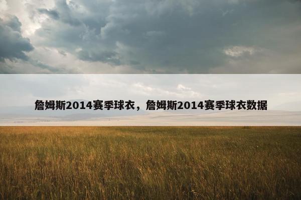 詹姆斯2014赛季球衣，詹姆斯2014赛季球衣数据