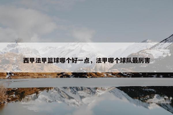 西甲法甲篮球哪个好一点，法甲哪个球队最厉害
